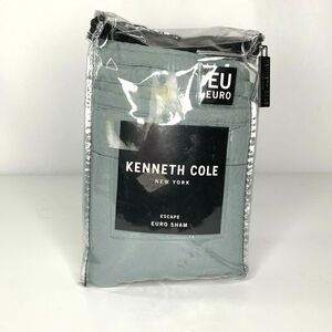 Kenneth Cole Escape Euro Pillow Sham Celadon Green Quilted Square